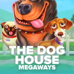 The Dog House Megaways avatar - Mexvip